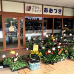 151フラワーショップおおつき